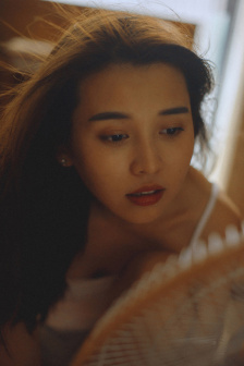 大白鲨2
